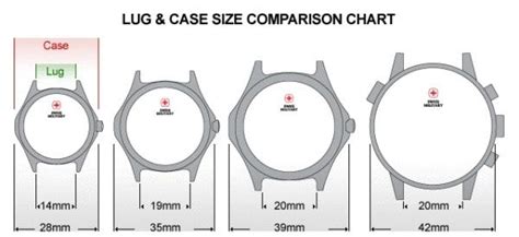Watch Size And Fit Guide How Your Watch Should Fit Watches How To