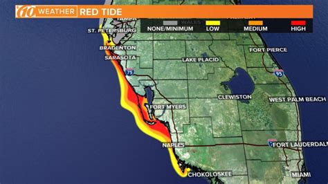 Map Of Red Tide In Florida 2021 Maps Of Florida