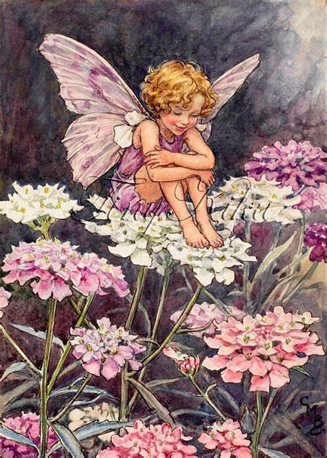 The Candytuft Fairy Cicely Mary Barker Art Print Or Iron On Fairy Art