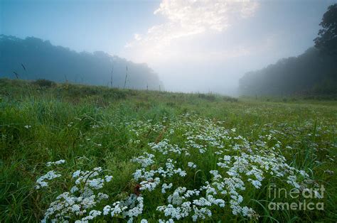 Machimoodus Dreamscape Misty Meadow Photograph By Jg Coleman Fine