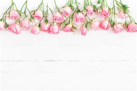 Flowers Composition Border Made Of Pink Rose Flowers On White Wooden