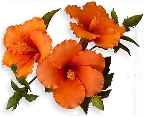 However, there are two ingredients that make fondant and gum paste vastly different. GUM PASTE FLOWER CUTTER SET 2-PME_JEM_103FF002