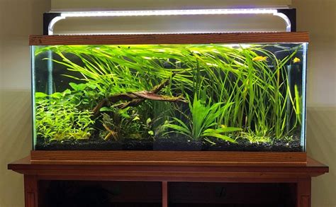 30 Gallon Long Aquarium For Sale Aquarium Views