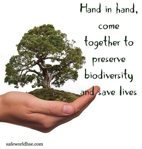 World Environment Day 2020 Best Slogans Images And Posters On