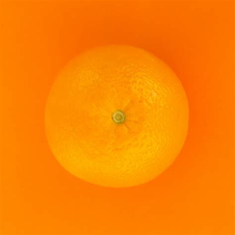 Orange Fruit With Orange Background Photo Free Orange Image On Unsplash