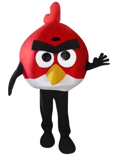 Mean Bird Birthday Party Characters For Kids Parties
