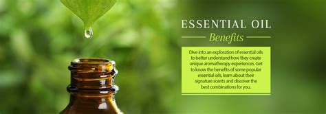 Essential Oil Benefits Find Out How Aromatherapy Can Work For You