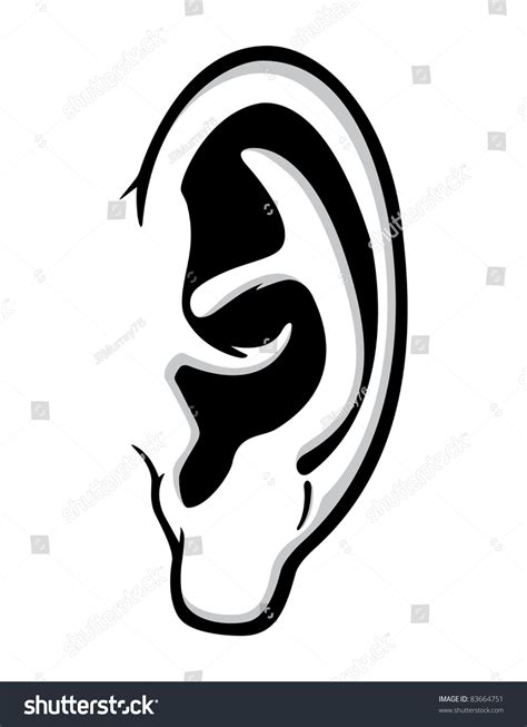Vektor Stok Human Ear Anatomy Black White Vector Tanpa Royalti