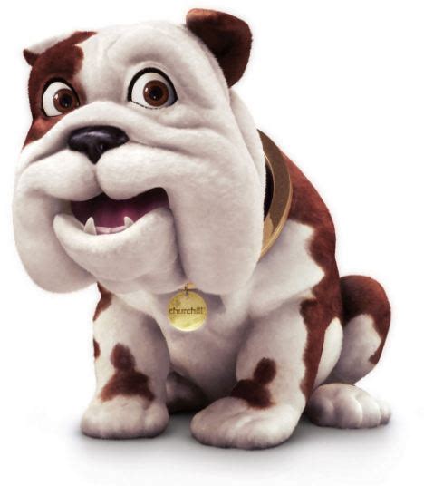 Churchill Insurance Refuses To Cover Pet Owners Bulldog The Same Breed