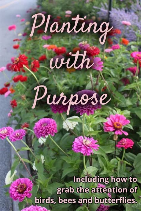 Planting With Purpose Plants Plant Design Garden Design
