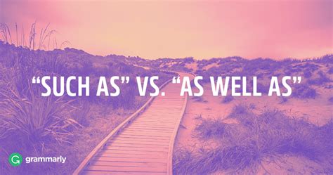 How To Use “such As” And “as Well As” In Professional Writing