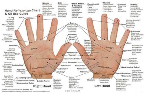 Press These Points For Wherever You Have Pain Every Body Part Is In