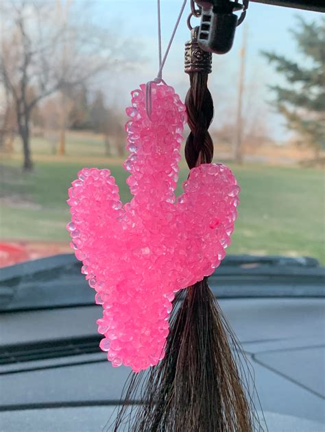 Cactus Car Freshies Aztec Freshie Scents For Cars Etsy