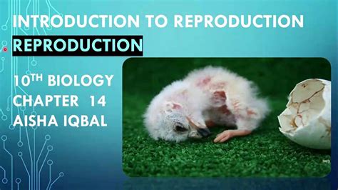 Reproduction Class 10 Part 7 Youtube