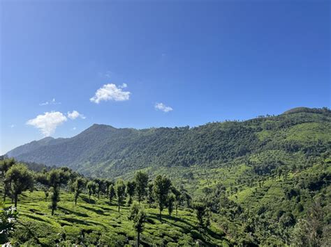 Into The Blue Of The Nilgiris Mountains India — Detour