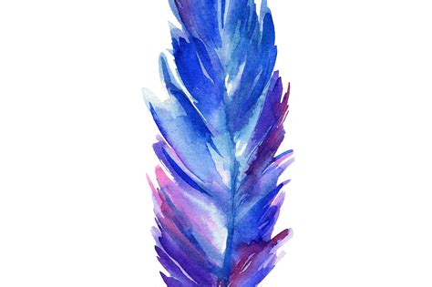 Feather Watercolor Feather
