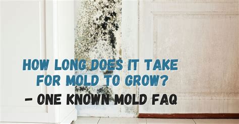 How Long Does It Take For Mold To Grow One Known Mold Faq Water