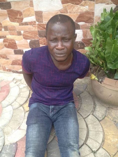 Notorious Blackmailer Nabbed Over Fake Video Clips Vanguard News