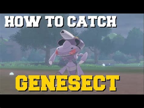 This time around, genesect comes with an exclusive style moveset that you can only get through the raids this week for now, so we have compiled a guide to help you with how to take it down and more. HOW TO CATCH GENESECT IN POKEMON SWORD AND SHIELD ...
