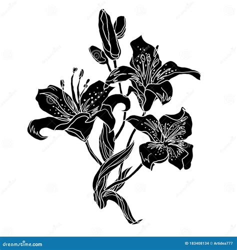 Black Silhouette Of Bouquet Of Lily Flowers Stock Illustration