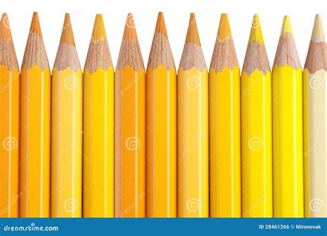 Yellow Pencils Isolated On White Background Stock Photo Image Of