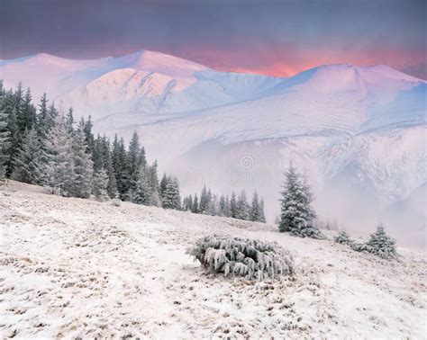 Beautiful Winter Sunrise In Mountains Stock Image Image Of Scenery