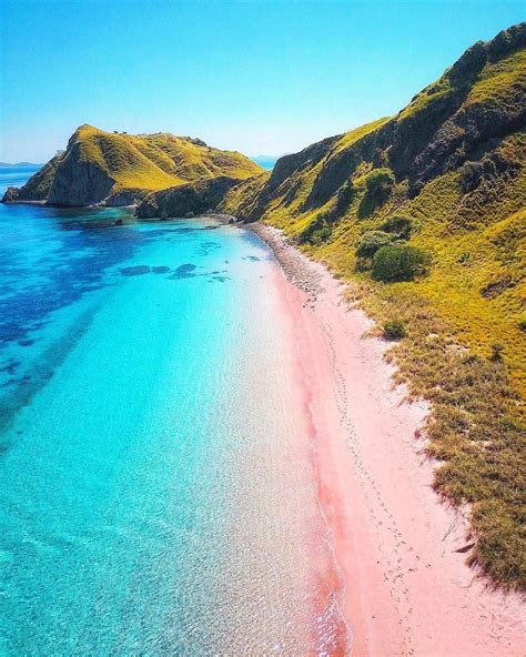 Pink Beach Komodo Indonesia Breathtaking Places Beautiful Places To