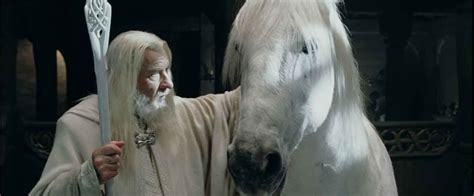 Gandalf And Shadowfax Horses Lord Of The Rings White Horse