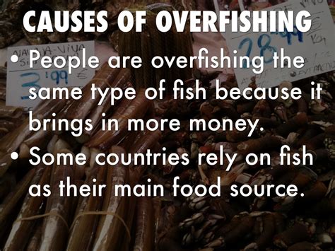 Overfishing By Mason Leonhard