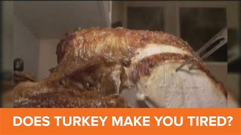 Does Eating Turkey Make You Sleepy Youtube