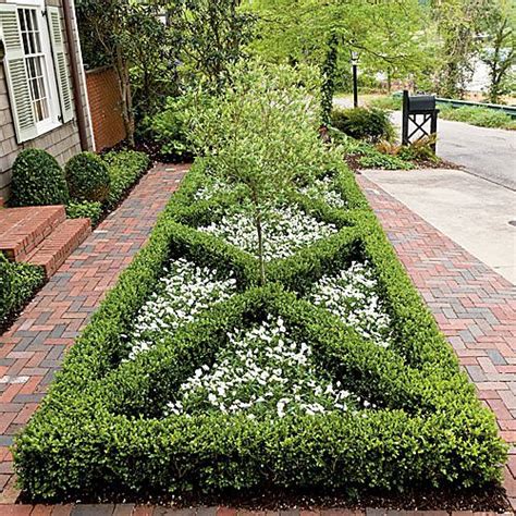 Best Boxwoods For Every Landscape And Climate