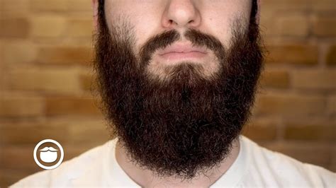 How To Make The Beard Straight