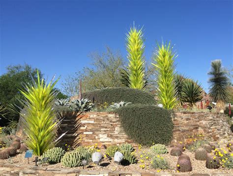 Desert Botanical Garden Phoenix Az Found Nature