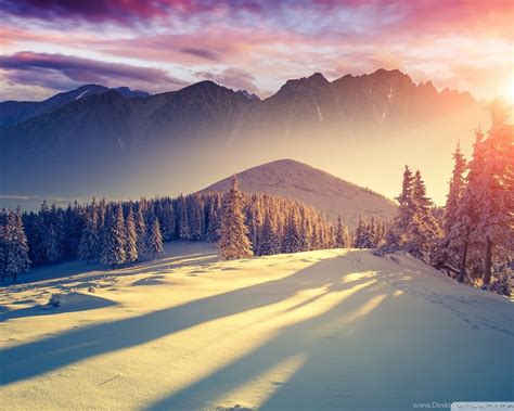 Nice And Beautiful Winter Wallpapers And Theme For Windows 10 ...