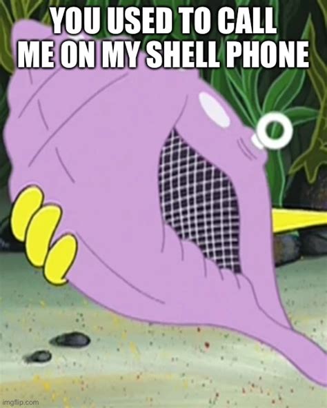 Magic Conch Memes And S Imgflip