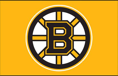 Top 999 Boston Bruins Wallpaper Full Hd 4k Free To Use