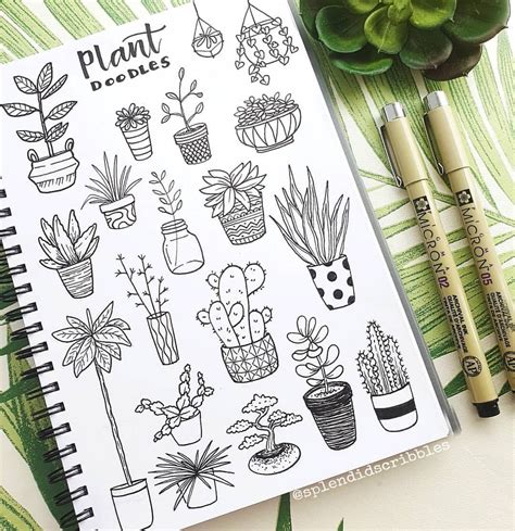 🍃🌿🌱 On Instagram “loving This Plant Doodles From Splendidscribbles 💕💚