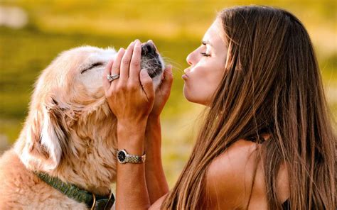 Dogs Can Read Human Emotions Study Finds Human Emotions Dogs Emotions