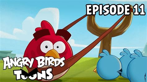 Angry Birds Toons S1 Slingshot 101 Ep 11 Youtube