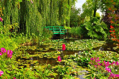 Claude Monet Gardens At Giverny Paris Photograph By Rolando Urrios