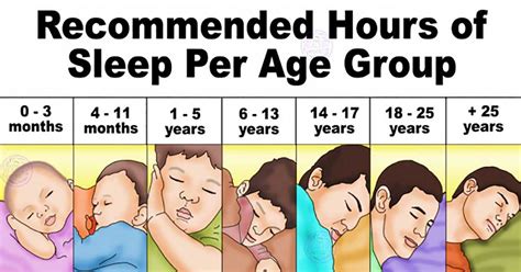 This Is How Much Sleep You Need Each Night According To The National Sleep Foundation Gotta
