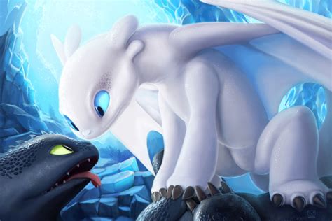 Toothless Wallpaper For Desktop Toothless And Light Fury Mating 2584316 Hd Wallpaper