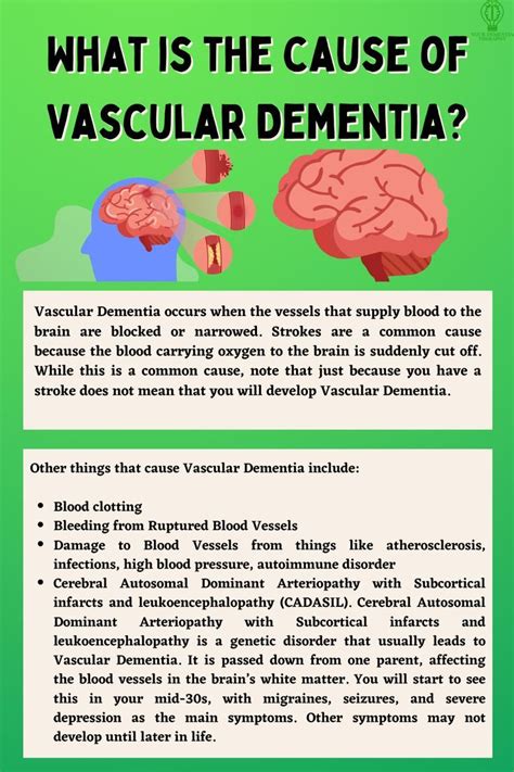 Vascular Dementia Occurs When The Vessels That Supply Blood To The