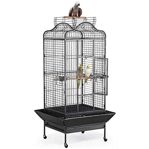 The Best Parrot Cages Of 2021 Pet Life Today