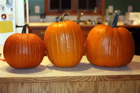 Pumpkin Carving 2010 Flickr