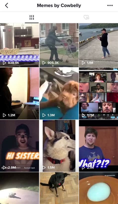 Memers Are Taking Over Tiktok The New York Times