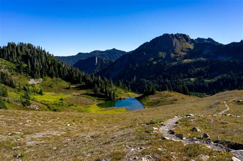 13 Amazing Hikes In Olympic National Park