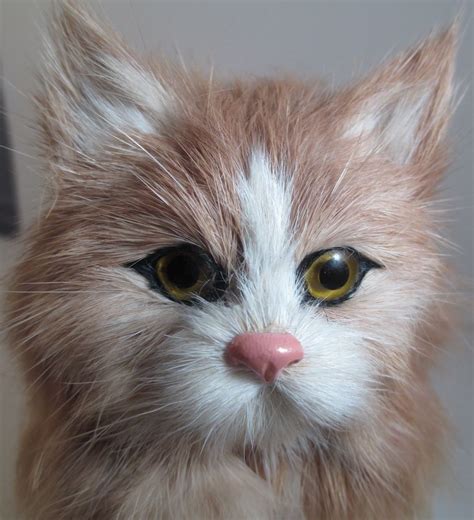 Realistic Stuffed Cat Kitten Life Like Tan White Long Tail Small 5 Toy