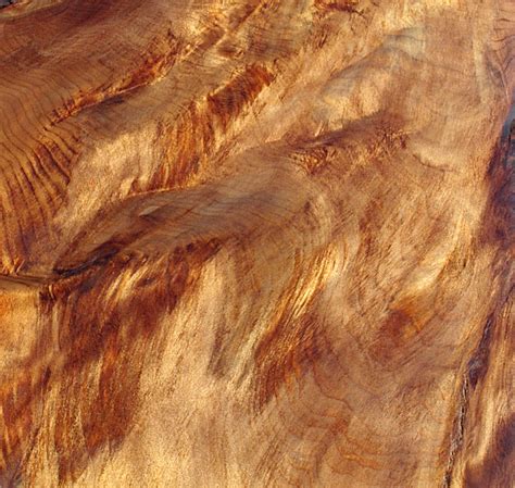 What Is Ancient Kauri Wood Ancientwood Ltd