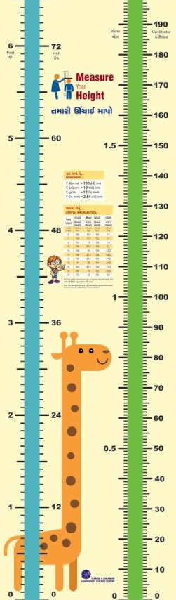 Height Measurement Chart Science Shop
